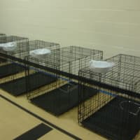 <p>The shelter at Darien High School has several crates for people to house their pets.</p>