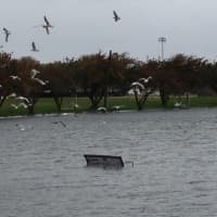 <p>Contributed
A bench at Harbor Island is partially submerged as Hurricane Sandy approaches the tri-state area.</p>
