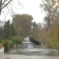 <p>Scott Atkinson tweeted this picture to the Greenwich Daily Voice of a flooded street in Old Greenwich.</p>