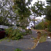 <p>Greenwich Daily Voice reader Sarah Huo submitted this picture of a downed tree on Havermeyer Road.</p>