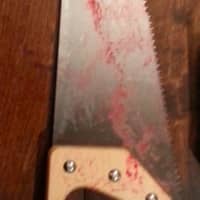 <p>The bloodied handsaw used in an attack by an embittered ex-boyfriend, Stamford police said. </p>