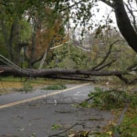 <p>A downed tree blocks Rowland Road in Fairfield, one of 160 roads blocked in town by trees and wires.</p>