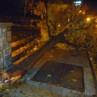 <p>A large tree branch blocked the sidewalk at Warburton Avenue and Spring Street in Hastings Tuesday morning.</p>
