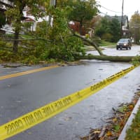 <p>A tree fell into the street, blocking all traffic on Church Street.</p>