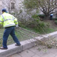 <p>The White Plains Department of Public Works removes fallen branches from City Hall on 255 Main St.</p>