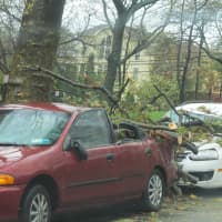 <p>A tree crushes a car in the aftermath of Hurricane Sandy near New Rochelle&#x27;s Glen Island Park Tuesday.</p>