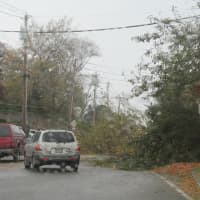 <p>Cars turn back or go around a fallen tree on Pelham Road near the New Rochelle Marina in the aftermath of Hurricane Sandy Tuesday.</p>