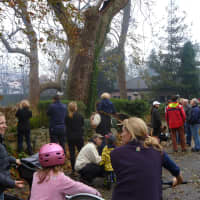 <p>Residents of Binney Ln. and other parts of Old Greenwich survey the remains of the burned houses on Tuesday morning.</p>