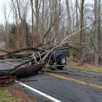 <p>Trees came crashing down on this Jeep on Route 124 in Pound Ridge during Hurricane Sandy. The driver was unhurt</p>