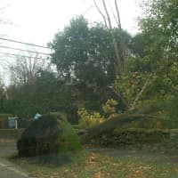 <p>A tree was down in a front lawn on Nearwater Lane in Darien.</p>