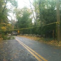 <p>Old Kings Highway South is blocked off due to a downed tree Tuesday afternoon.</p>