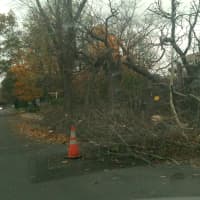 <p>A tree obstructs part of Old Kings Highway South in Darien Tuesday afternoon.</p>
