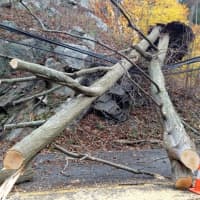 <p>A tree rests on power lines along Route 53 in Redding south of Umpawaug Road. </p>