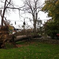 <p>Hurricane Sandy toppled a tree in front of the Ridgefield Library.</p>