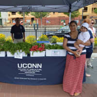 <p>The University of Connecticut&#x27;s College of Agriculture, Health and Natural Resources Extension has a tent at the market. </p>