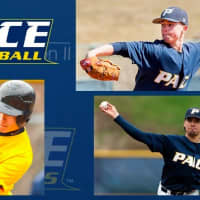 Pace University Baseball Players Making Their Mark In The Pros