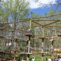 <p>The Labyrinth, a new feature at The Adventure Park.</p>