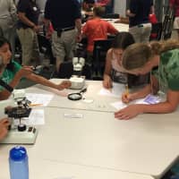 <p>Kids examine marine organisms under the microscope as part of a week-long camp program at the Maritime Aquarium in Norwalk.</p>
