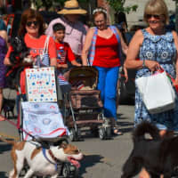 <p>Dogs and their walkers in Cold Spring&#x27;s Independence Day parade. The canine and human guests marched as &quot;The Philipstown Patriotic Dog Brigade.&quot;</p>