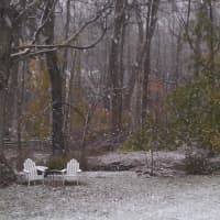 <p>A snow-covered back yard in Westport. </p>