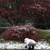 <p>A young child plays outside as the first snowfall of the season begins to blanket Westport. </p>