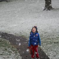 <p>Spencer Smith of New Canaan gets a taste of the snowflakes falling Wednesday. </p>
