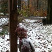 <p>Amy Pietrasanta snapped this picture of a snow-covered scarecrow on Musket Ridge Road in Wilton.</p>