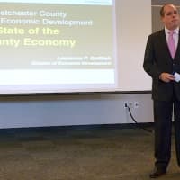 <p>Laurence Gottlieb, director of the Westchester County Office of Economic Development, addresses job seekers Thursday at the Greenburgh Public Library.</p>