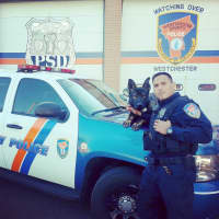 <p>Westchester County Police Officer Chris Gutierrez with K9 Jax during a lull before car accidents. Gutierrez is credited with saving a woman in her 80s from a burning SUV on Thursday.</p>