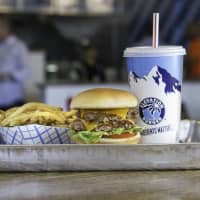 <p>Burger and fries at Elevation Burger.</p>