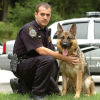 <p>Wilton Police K-9 Enzo with his handler, Officer Steven Rangel. </p>