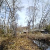 <p>Residents of Mount Vernon and Pelham are hoping that a bicycle path near the Hutchinson River will be cleaned up.</p>