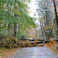 <p>Classes in Hendrick Hudson and Croton-Harmon Schools were canceled for one week after Hurricane Sandy made dozens of roads impassable in Cortlandt. </p>