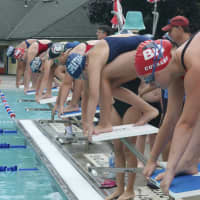 <p>Swimmers set to start a race.</p>