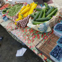 <p>Fruit and vegetables from Veronica&#x27;s Garden, of Ridgefield.</p>
