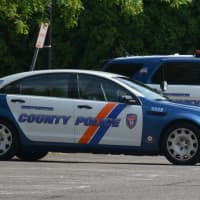 <p>Westchester County police cars stationed in Mount Kisco</p>