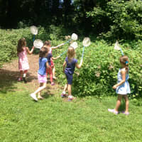 <p>Kids enjoy summer camp at the Weinberg Nature Center. </p>