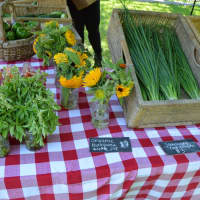 <p>Fresh items from the farm to the table </p>