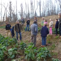 <p>Members of North Salem&#x27;s 4H Club toured Farmer &amp; the Fish Sunday and learned about farm-to-table meals and sustainable agriculture.</p>