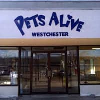 <p>Pets Alive operates a &quot;no-kill&quot; shelter on Warehouse Lane in Elmsford, but has announced its closing due to building disrepair and financial problems. Greenburgh town officials and the SPCA of Westchester are discussing ways to save the shelter.</p>