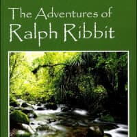 <p>Constantinople&#x27;s first book, &quot;The Adventures of Ralph Ribbit,&quot; was published earlier this fall. </p>