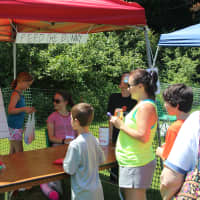 <p>Ridgefield residents play a game at the Nutmeg Festival on Saturday.</p>