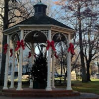 <p>White Plains will host a tree lighting ceremony and holiday celebration at Tibbits Park from 4 p.m. to 6 p.m. on Sunday.</p>