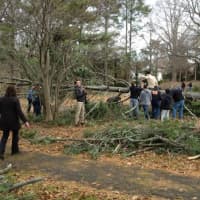<p>Tuckahoe students and parent volunteers literally moved trees in the park.</p>