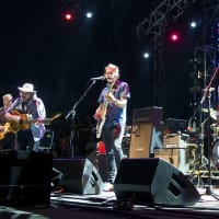 <p>Wilco rocks the main stage Saturday night. </p>