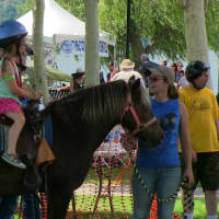 <p>The event featured a children&#x27;s activity area, a farmers market and more.</p>