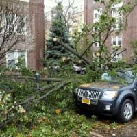 <p>Maintaining and cleaning up Bronxville after Sandy cost around $30,000, said Village Administrator Harold Porr.</p>