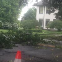 <p>A few of the driveways are blocked on Deer Hill by the fallen wires. </p>
