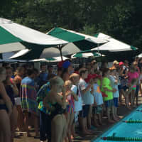 <p>Swimmers and spectators look on at Tuesday&#x27;s Fairfield County championship meet in Darien.</p>