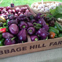 <p>Cabbage Hill Farms is a regular vendor at John Jay Farmers Market in Katonah.</p>
